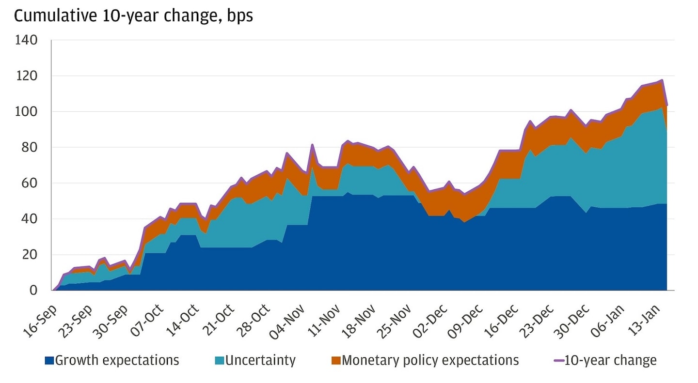 Treasury Investment Strategies