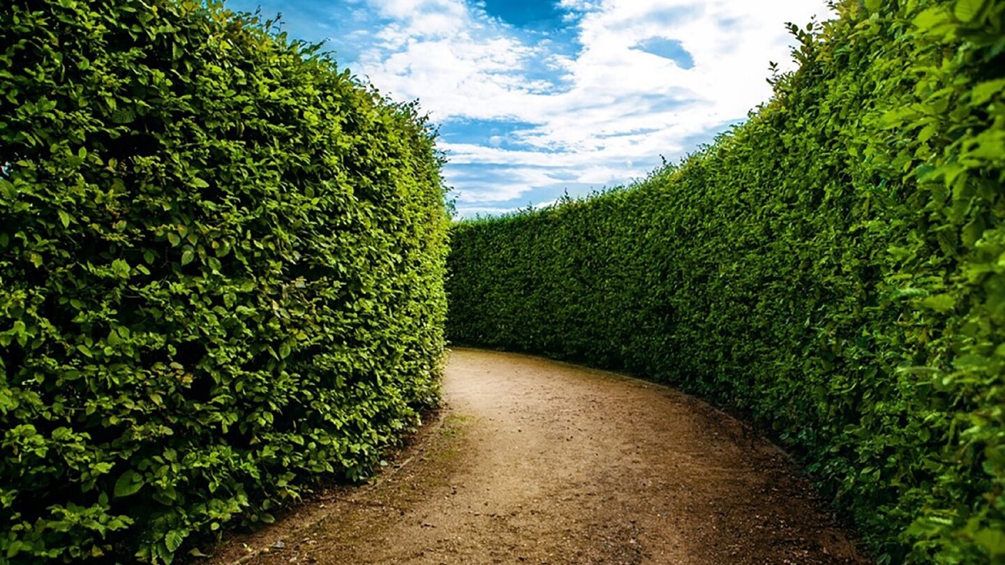 How to Invest in a Hedge Fund | Chase